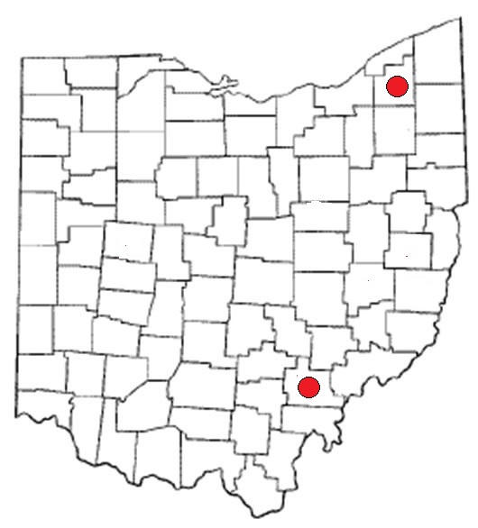 mapstenocaro